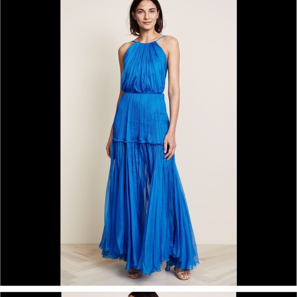 Maria Lucia Hohan silk chiffon maxi dress